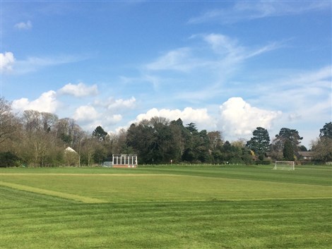 Cricket Pitch Hire in Shrewsbury